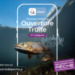 actualité précédente