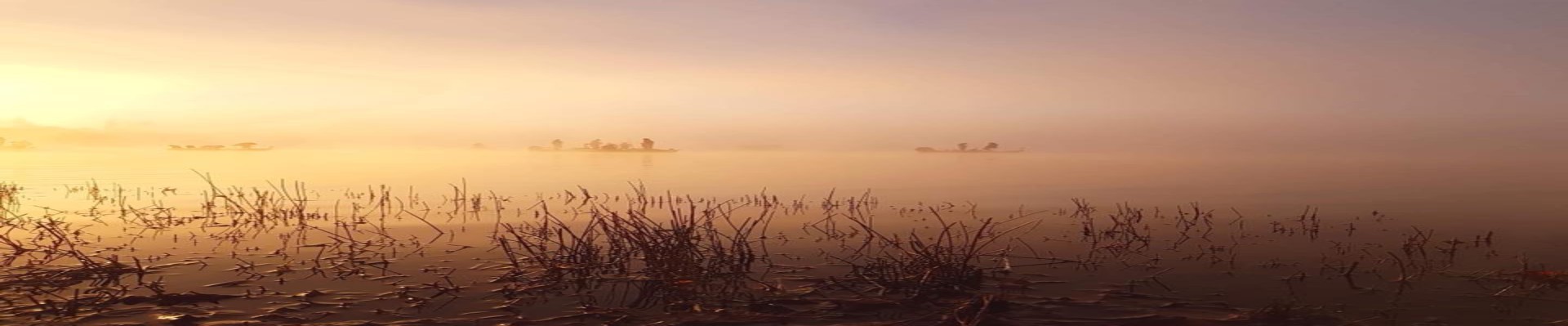 Le Lac « Terre d’Auge » à Pont-l’Evêque
