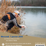 actualité précédente