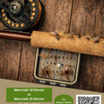 actualité précédente