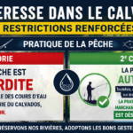 actualité suivante